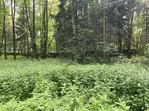 Дом в Московская область, Одинцовский городской округ, Рожновка хут., ...