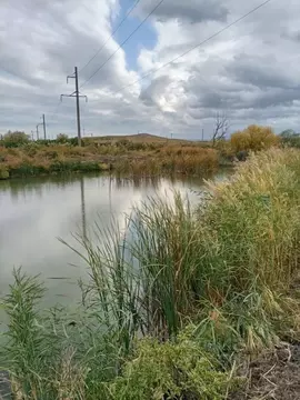 Участок в Ставропольский край, Шпаковский муниципальный округ, пос. ...
