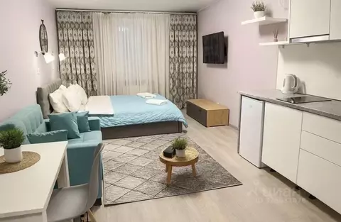 Студия Санкт-Петербург Детский пер., 2 (30.0 м)