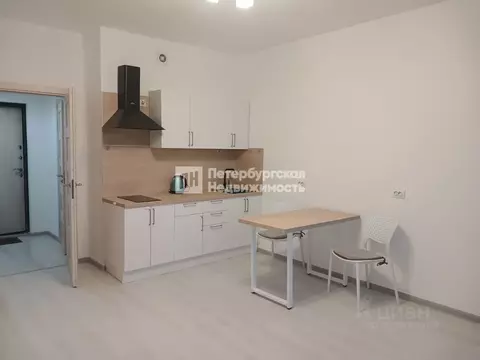 Студия Санкт-Петербург ул. Струве, 14к2 (26.0 м)