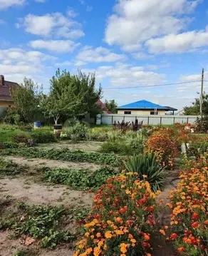 Дом в Воронежская область, Рамонский район, Новоживотинновское с/пос, ...