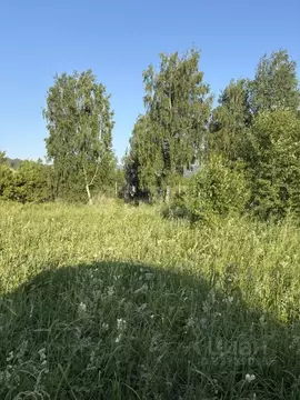 Участок в Алтай, Майминский район, Майминское с/пос, Терра ДНП  (11.36 ...