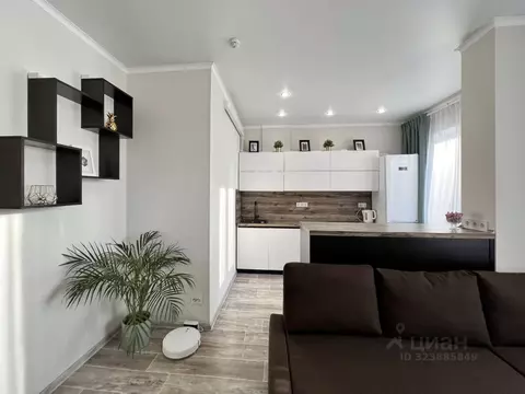 Студия Татарстан, Казань просп. Альберта Камалеева, 34В (29.9 м)