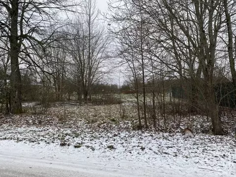 Участок в Ленинградская область, Лужский район, Володарское с/пос, д. ...