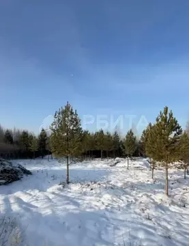 Участок в Тюменская область, Нижнетавдинский муниципальный округ, д. ...