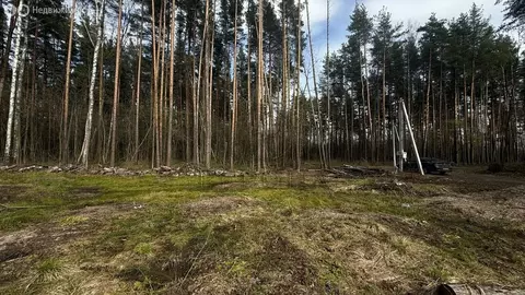 Участок в Богородский городской округ, КП Родное Пешково (10 м)