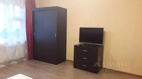 Студия Новосибирская область, Новосибирск Рябиновая ул., 10/1 (28.0 м)