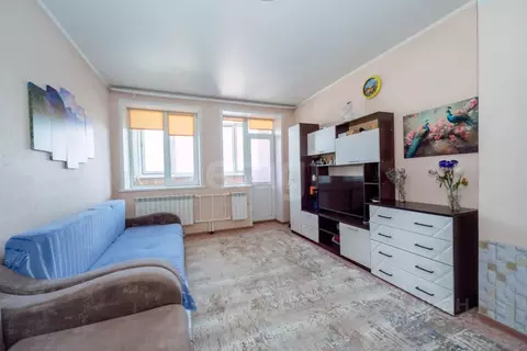 Студия Алтайский край, Бийск Советская ул., 189/6 (31.8 м)