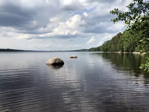 Участок в Ленинградская область, Выборгский район, Приморское ...