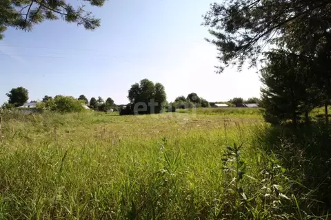 Участок в Вологодская область, Шекснинский муниципальный округ, д. ...