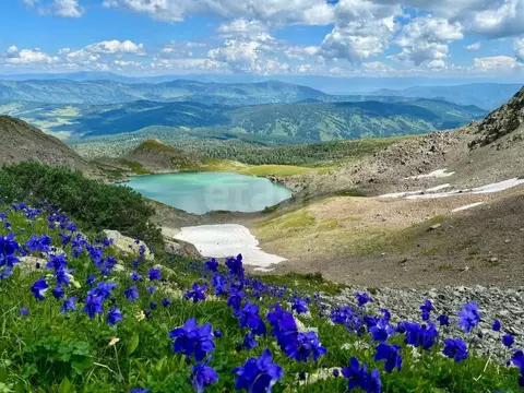 Участок в Алтай, Усть-Коксинский район, с. Кайтанак  (2458.0 сот.)