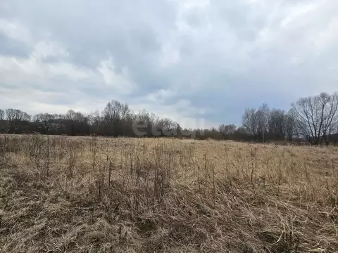 Участок в Московская область, Коломна городской округ, с. Фроловское  ...