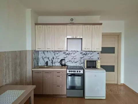 Студия Санкт-Петербург просп. Энергетиков, 9к6 (25.0 м)