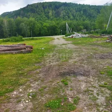 Участок в Алтайский край, Солонешенский район, с. Топольное  (21.66 ...