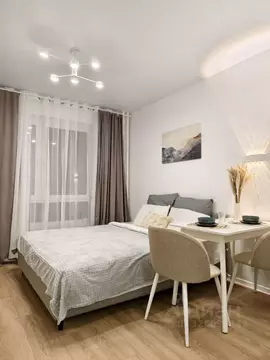 Студия Москва ул. Трехполье, 6к1 (20.0 м)