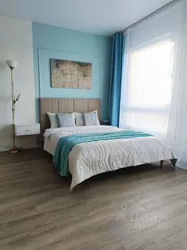 Студия Ленинградская область, Всеволожский район, Заневское городское ...