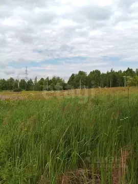 Участок в Томская область, Томск Каменка мкр, ул. Тихая (15.0 сот.)