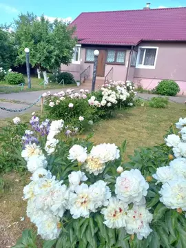 Дом в Калининградская область, Неманский муниципальный округ, пос. ...