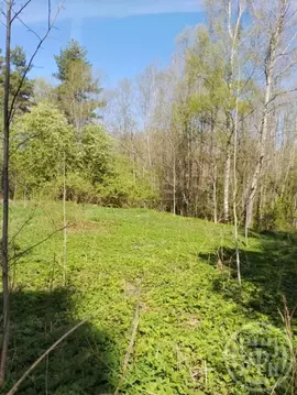 Участок в Ленинградская область, Лужский район, Заклинское с/пос, д. ...