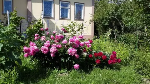 Дом в Нижегородская область, Нижний Новгород городской округ, д. ...