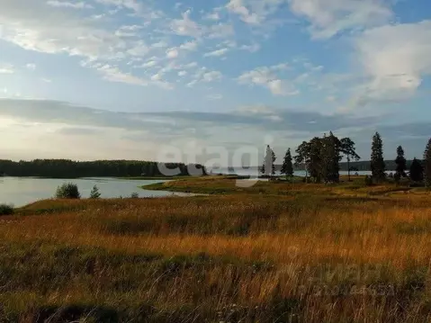 Участок в Костромская область, Костромской район, Самсоновское с/пос, ...