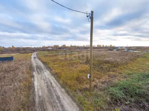 Участок в Тюменская область, Тюмень Большое Царево-2 СНТ, ул. Зеленая ...