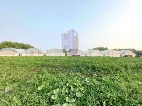 Производственное помещение в Белгородская область, Губкинский ...