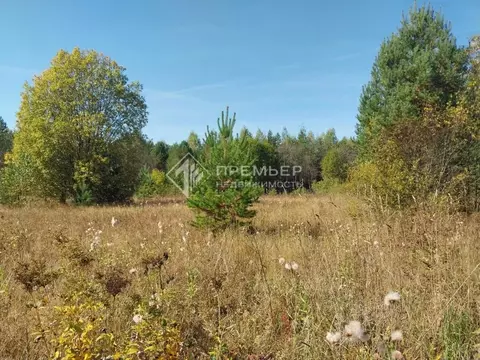 Участок в Кировская область, Кирово-Чепецкий район, Пасеговское с/пос, ...