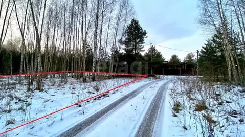 Участок в Псковская область, Печорский муниципальный округ, д. Зимний ...