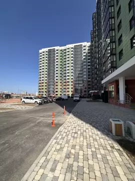 Помещение свободного назначения в Краснодарский край, Анапа бул. ...