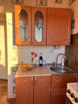 1-к кв. Иркутская область, Иркутск Топкинский мкр, 30 (31.0 м)