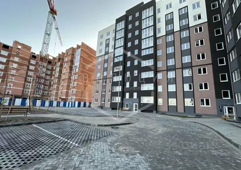 2-к кв. Калининградская область, Калининград бул. Борисовский, 4 (55.6 ...