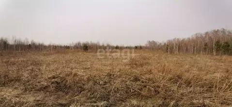 Участок в Новосибирская область, Мошковский район, Индия кп  (13.2 ...