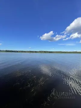 Участок в Ленинградская область, Выборгский район, Селезневское с/пос, ...