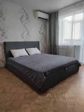 1-к кв. Еврейская автономная область, Биробиджан Набережная ул., 18В ...