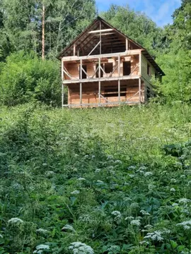 Участок в Алтайский край, Алтайский район, с. Алтайское  (180.0 сот.)