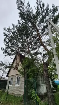 Дом в Новосибирская область, Новосибирский район, Барышевский ...