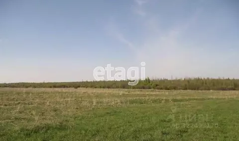 Участок в Вологодская область, д. Кольцеево  (37.4 сот.)