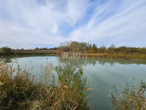 Участок в Калининградская область, Черняховский муниципальный округ, ...