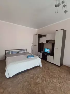 Студия Омская область, Омск ул. Перелета, 31 (40.0 м)