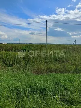 Участок в Тюменская область, Тюменский муниципальный округ, д. ...