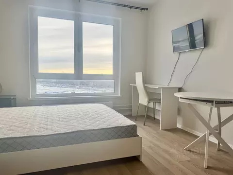 Студия Москва ул. Трехполье, 6к1 (20.0 м)