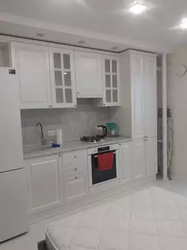 Студия Рязанская область, Рязань ул. Островского, 16 (27.0 м)