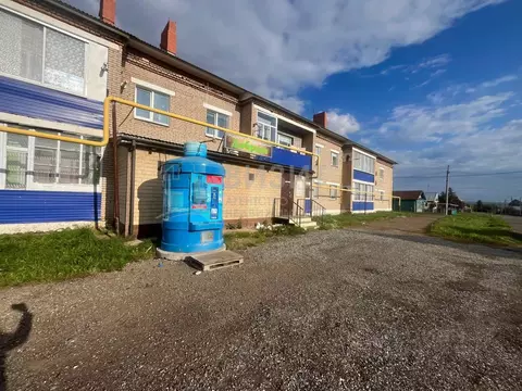 Торговая площадь в Татарстан, Мензелинск ул. Гоголя, 86 (63 м)