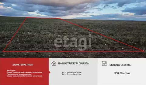 Участок в Крым, Черноморский район, с. Межводное  (350.06 сот.)