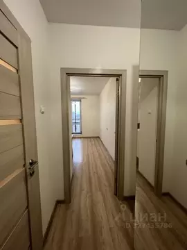 Студия Санкт-Петербург ул. Среднерогатская, 20 (21.0 м)