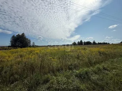 Участок в Брянская область, Брянск Донская ул. (12.0 сот.)