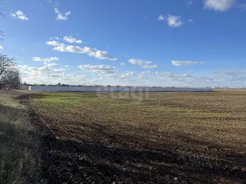Участок в Крым, Сакский район, Ореховское с/пос, с. Михайловка  (50.0 ...