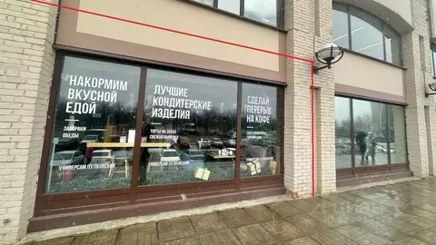 Помещение свободного назначения в Санкт-Петербург Пулковское ш., 3К1 ...