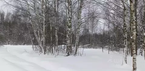 Участок в Московская область, Дмитровский муниципальный округ, д. ...